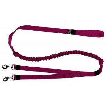 Preview: Ruckdämpferleine 2 Hunde SK Lila